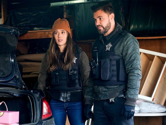 Chicago P.D's Marina and Patrick: How We Envision a Future Burzek Wedding