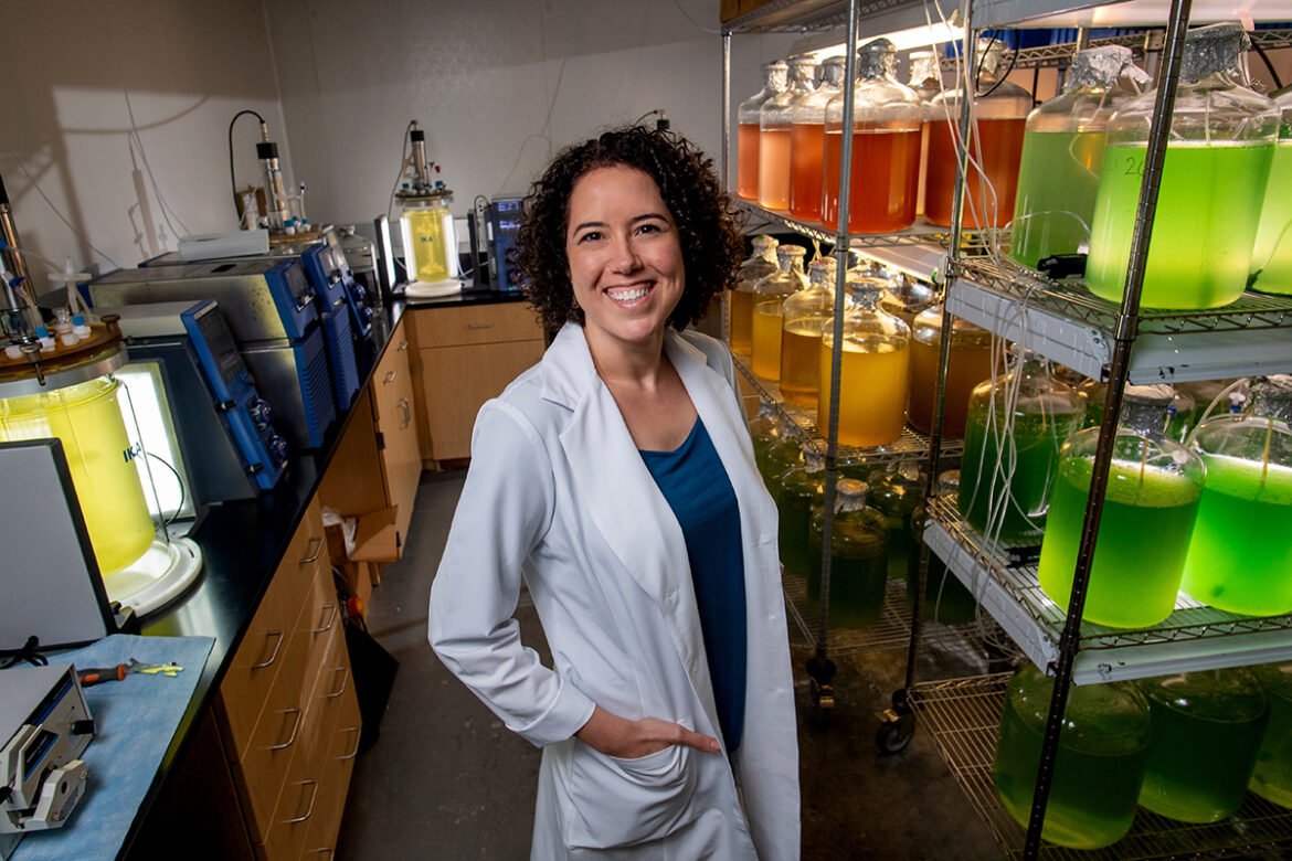 UNCW lab could maintain solutions to algal bloom questions