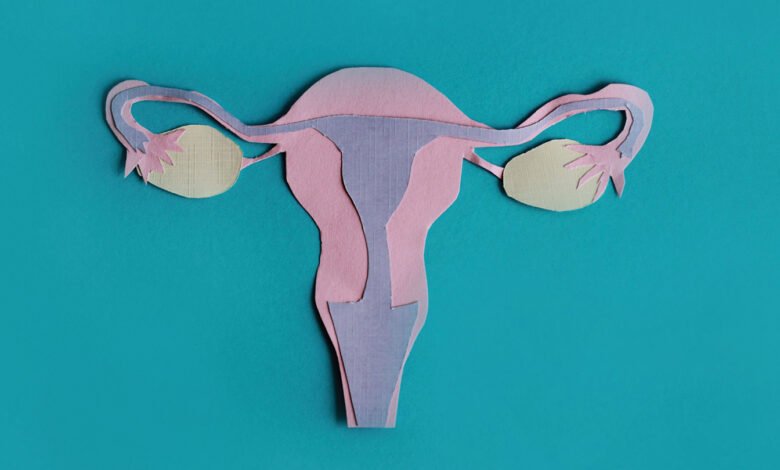 ‘Vagina Obscura’ reveals how little is understood about feminine biology