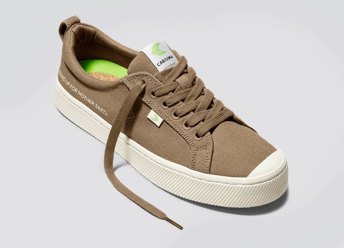 brown Earth Day sneaker