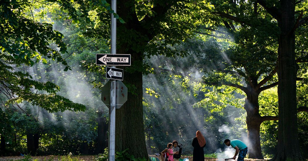 In Photos: A walk through Frederick Law Olmsted’s Enduring Gift: America’s Public Parks