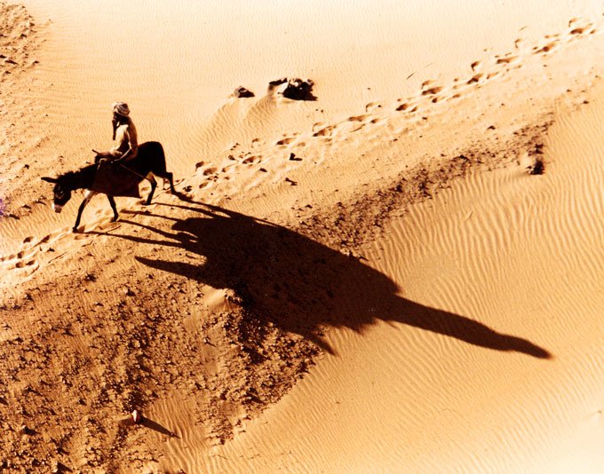 aerial photograph of someone riding a donkey through a desert environment
